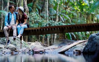 The retreat has 8 kilometres of rainforest walks