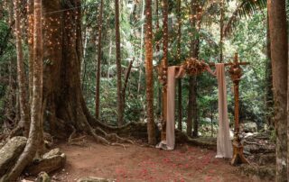 Our ancient fig tree is the perfect backdrop for an intimate wedding at Crystal Creek Rainforest Retreat