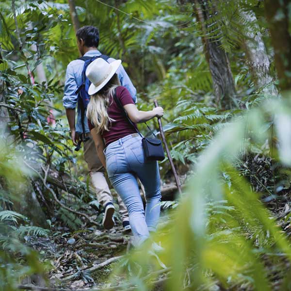 Explore our retreat on 8km of rainforest walking tracks