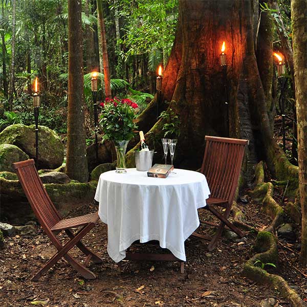 See more about our Summer Rainforest Proposal & Romantic Package