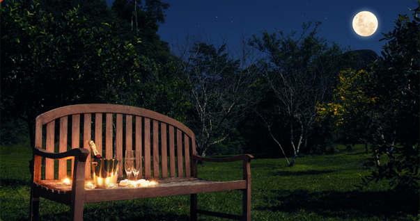 The orchard is a stunning place to watch the night settle and the moon rise with a bottle of champagne and some candles