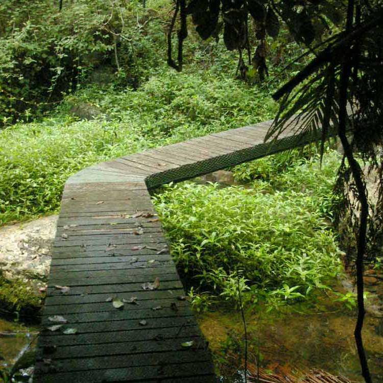 An elevated path across the creek at our Retreat