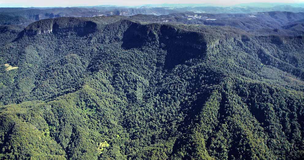This ridge is the northern perimeter of Crystal Creek Rainforest Retreat and the state border with Queensland