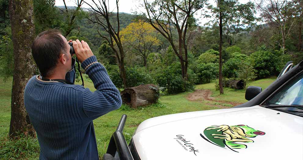 Rainforest rehabilitation is an ongoing process at our Retreat Rainforest rehabilitation is an ongoing process at our Retreat