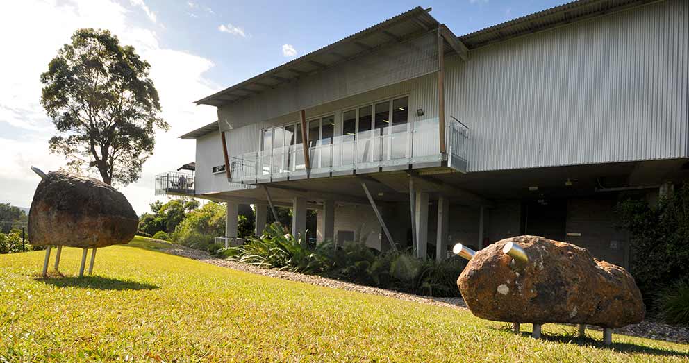 The Tweed Regional Gallery is in nearby Murwillumbah